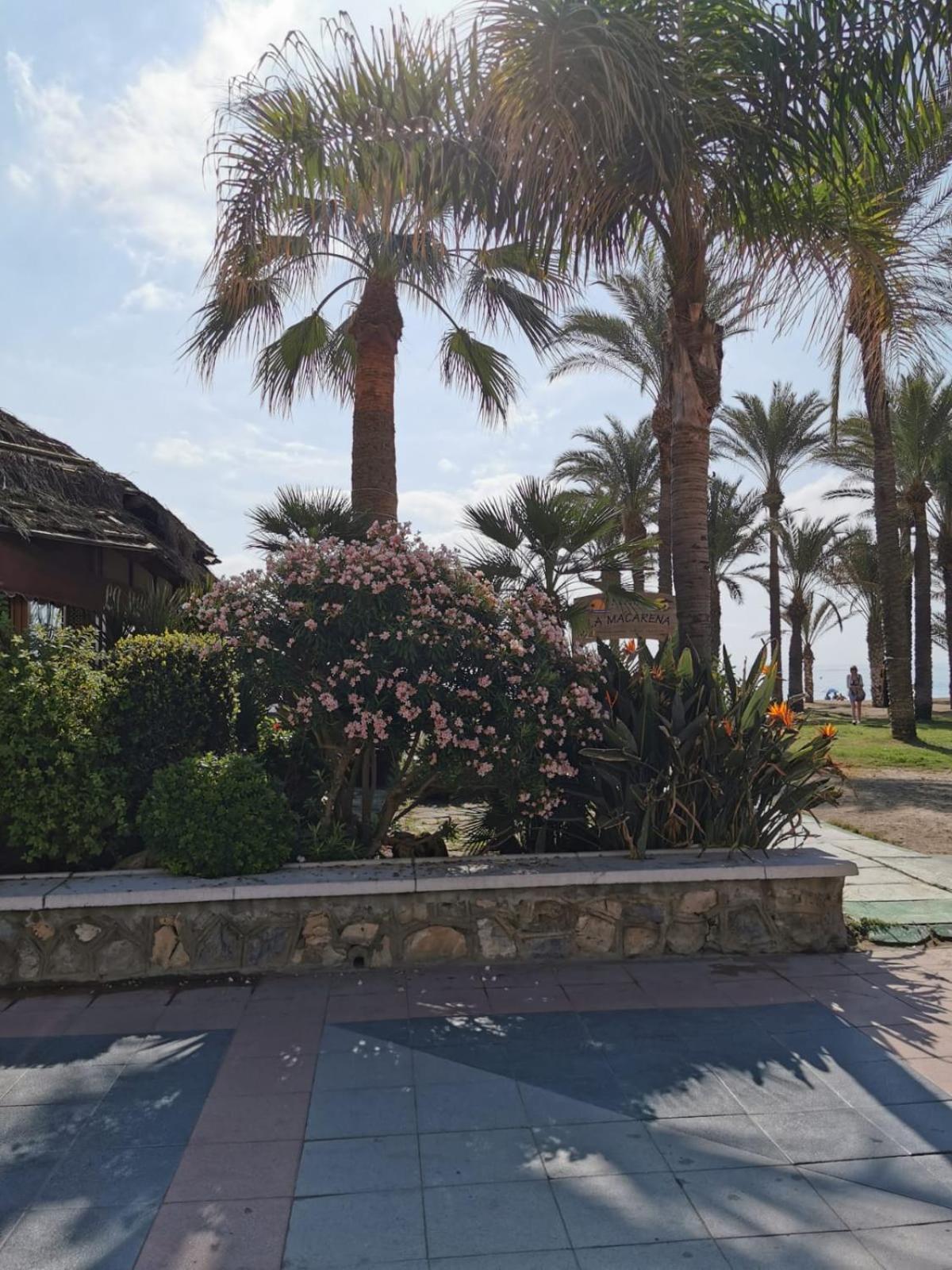 Apartamento En El Centro De Torremolinos Exteriör bild